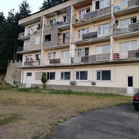 Alena'S Flat Apartamento Borjomi Exterior foto